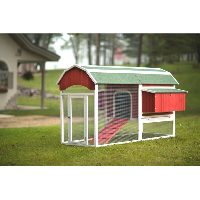 Archie & Oscar™ Hermione 33.93 Square Feet Chicken Coop with Chicken